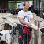 Un ganadero da el biberón a sus terneros