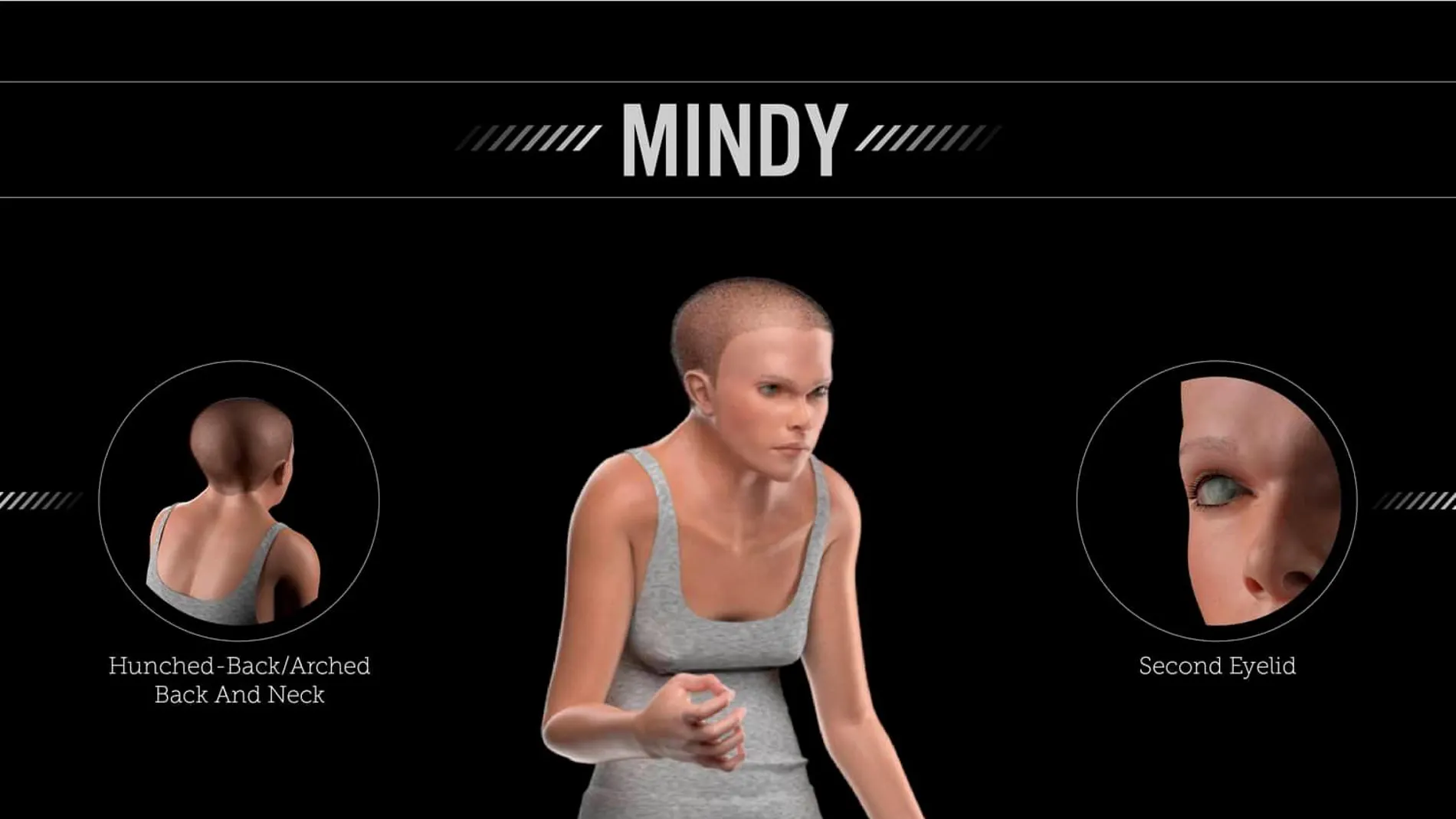 El diseño, llamado Mindy, refleja los cambios que se producirían