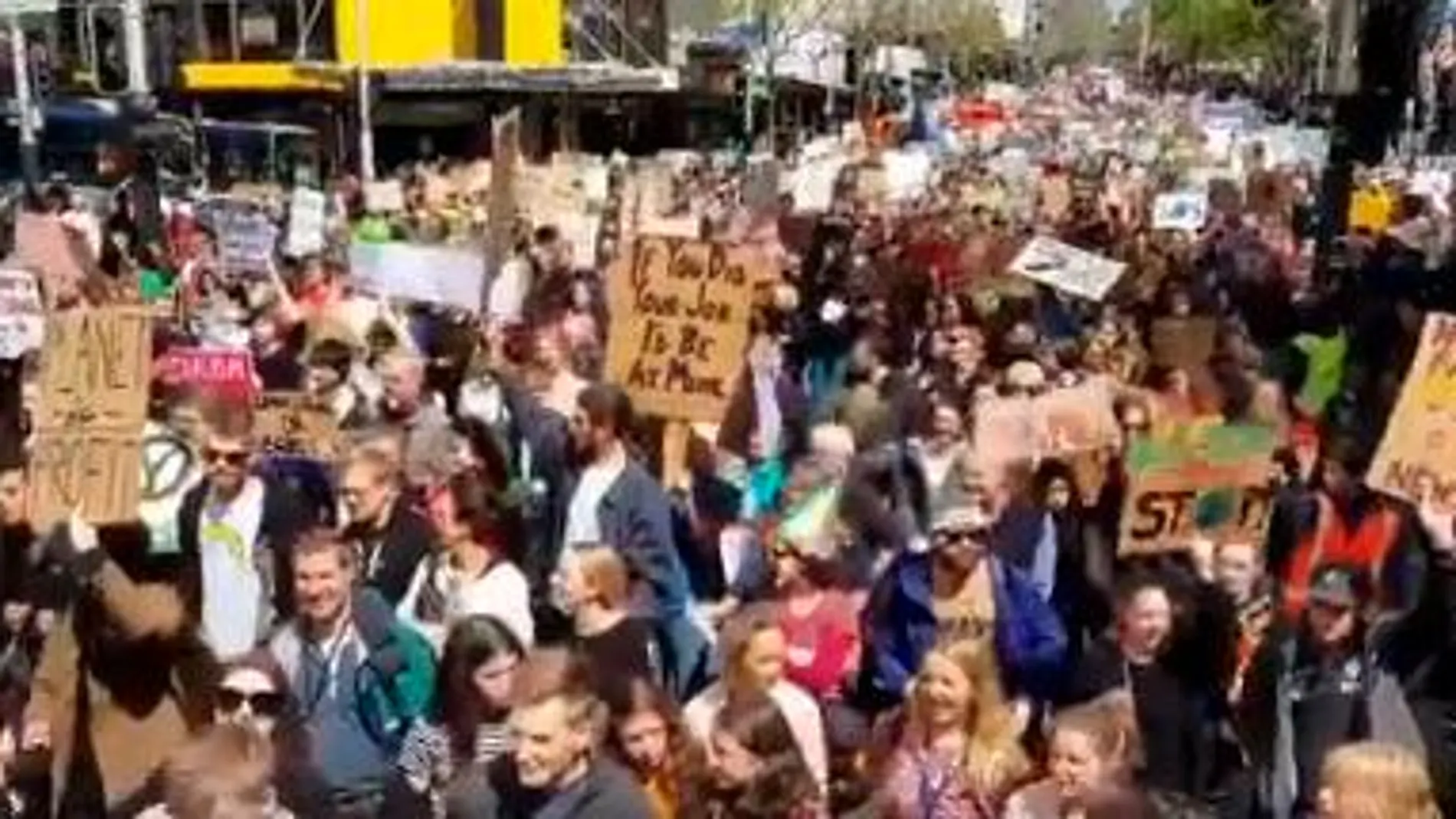 Manifestación en Auckland