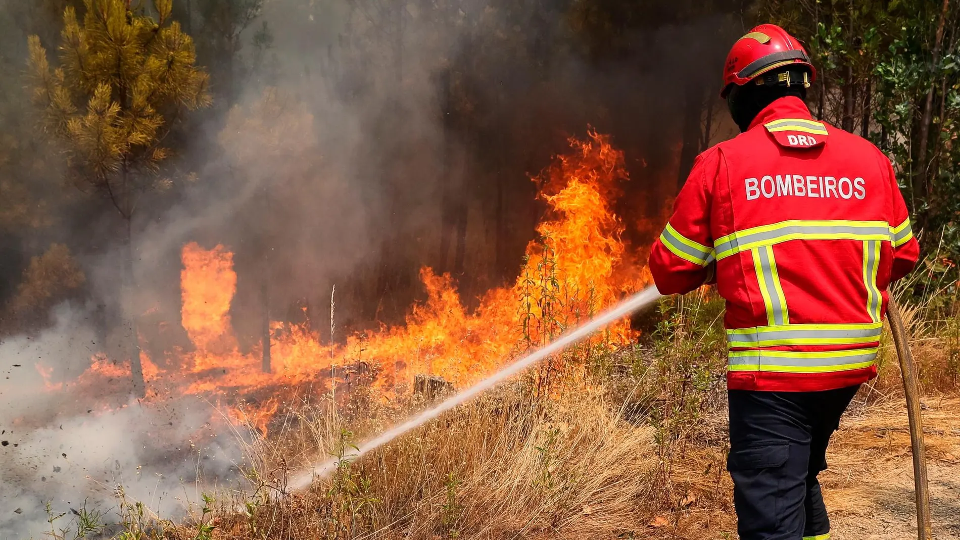Un bombero trabaja en las labores de extinción del incendio/ EFE