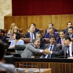 Un momento durante el pleno en el Parlamento andaluz / Foto: Manuel Olmedo