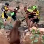 Los ciclistas rescatan un ciervo