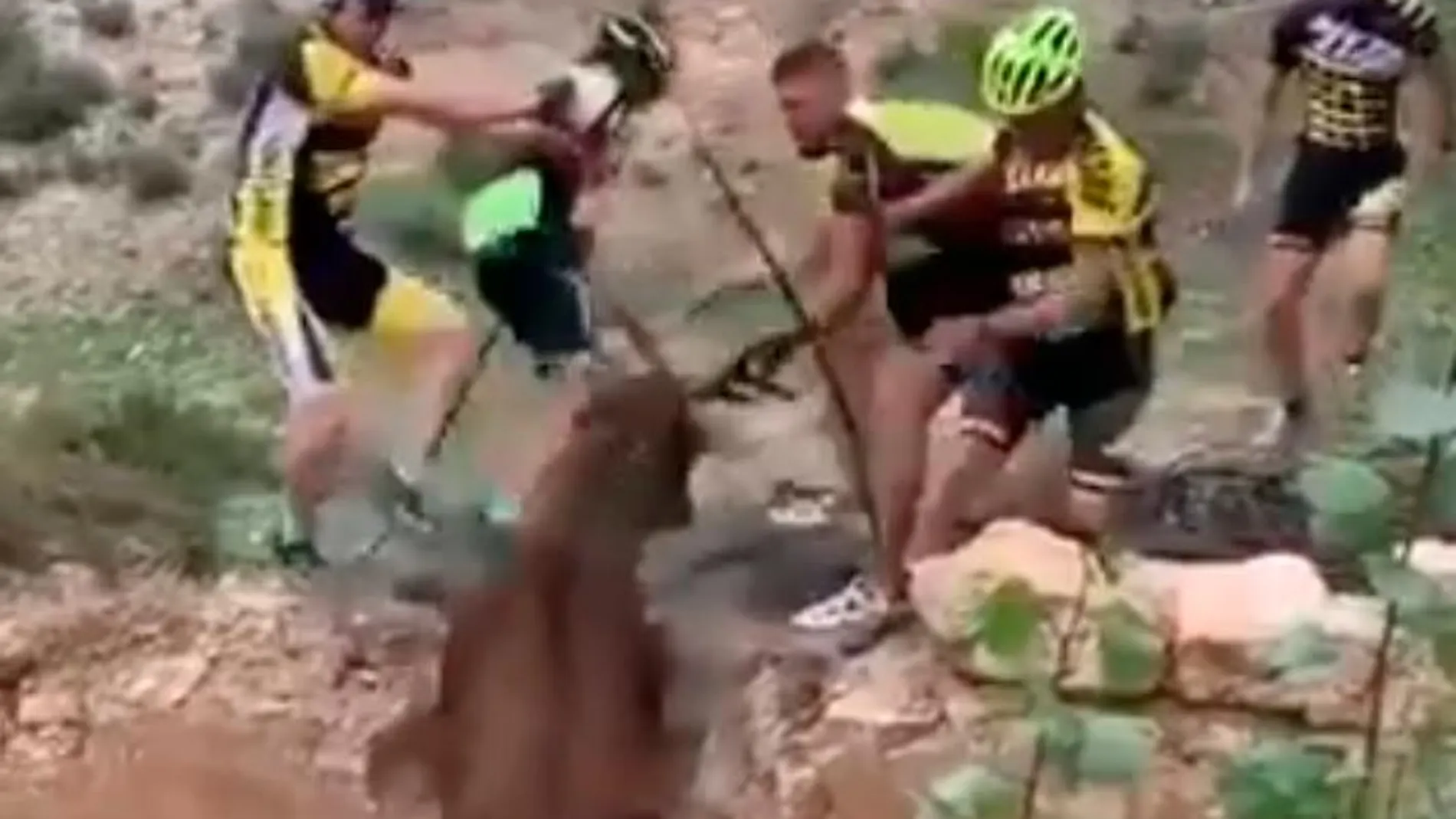 Los ciclistas rescatan un ciervo