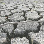 La sequía que han sufrido los cultivos ha disparado las reclamaciones a las aseguradoras agrarias