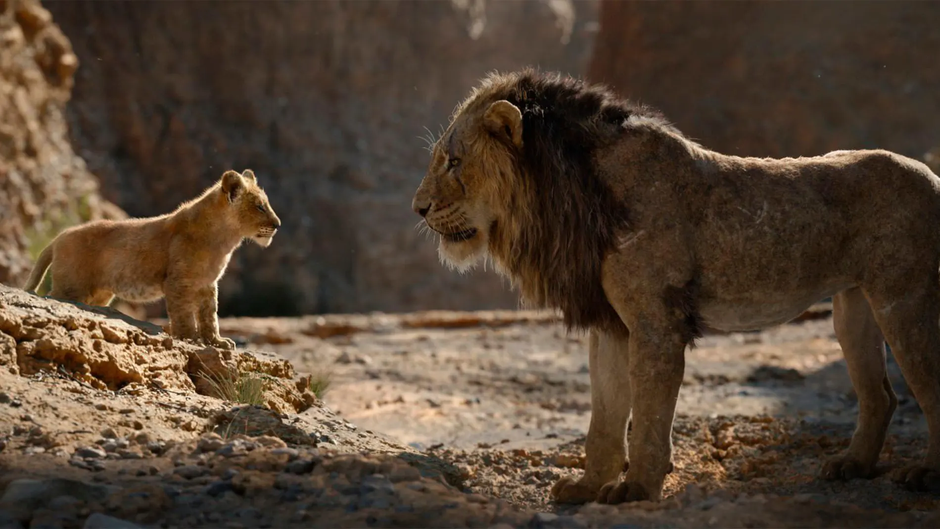 «El rey león": Solo un principito