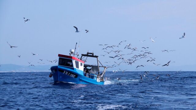 Una embarcación pescando en aguas del Estrecho de Gibraltar / Foto: Europa Press