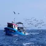  La flota de Cádiz volverá a faenar en Marruecos el lunes tras el nuevo acuerdo de pesca