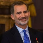 El rey Felipe VI