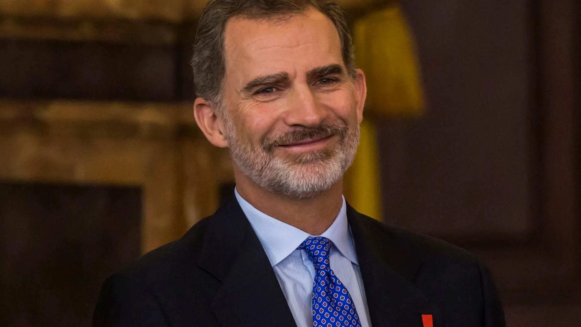 El rey Felipe VI