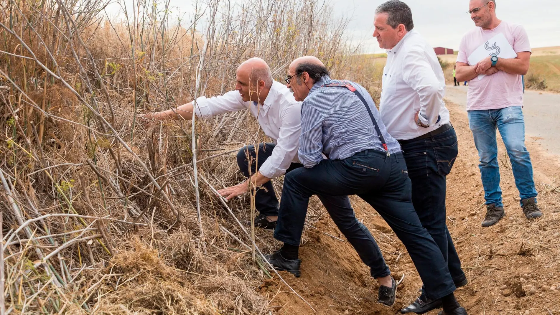 El viceconsejero Jorge Llorente observa la eficacia la limpieza de cunetas en las huras de los topillos campesinos