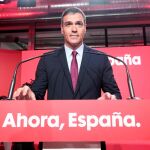 El secretario general del PSOE y presidente del Gobierno en funciones, Pedro Sánchez / Foto: Europa Press