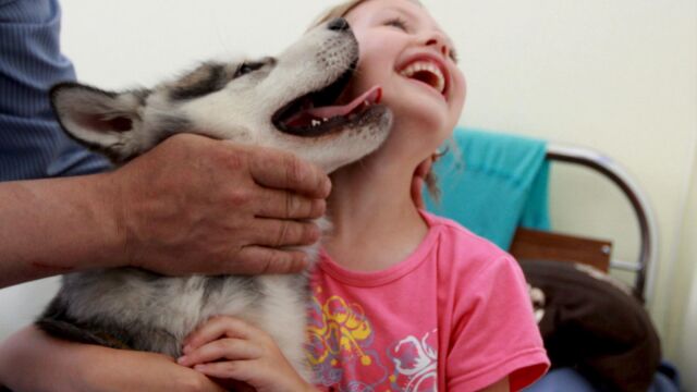Los perros son excelentes acompañantes de niños