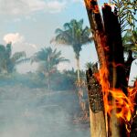El fuego se extiende a través de los estados de Acre, Rondônia, Mato Grosso y Mato Grosso do Sul / Reuters