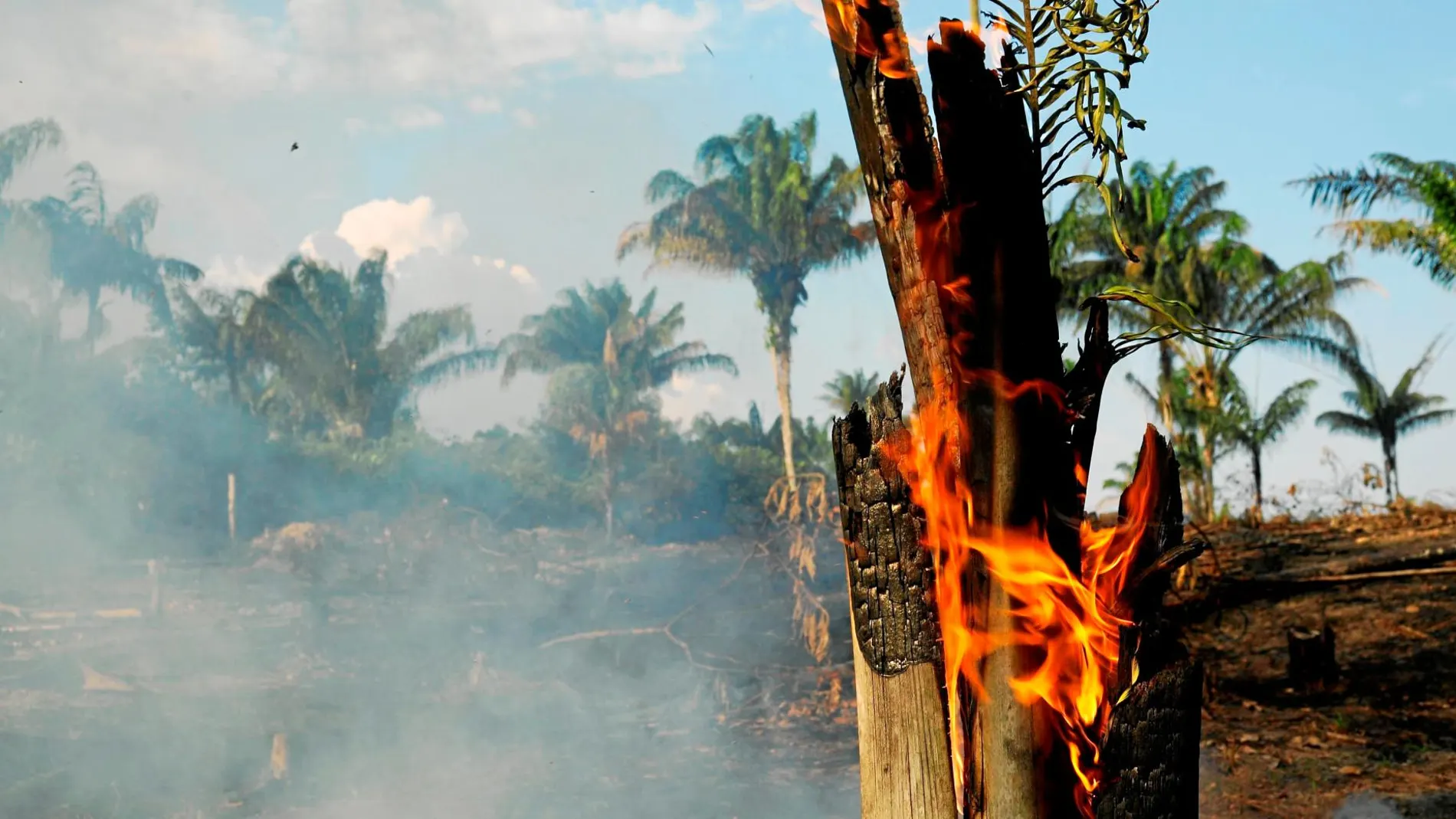 El fuego se extiende a través de los estados de Acre, Rondônia, Mato Grosso y Mato Grosso do Sul / Reuters