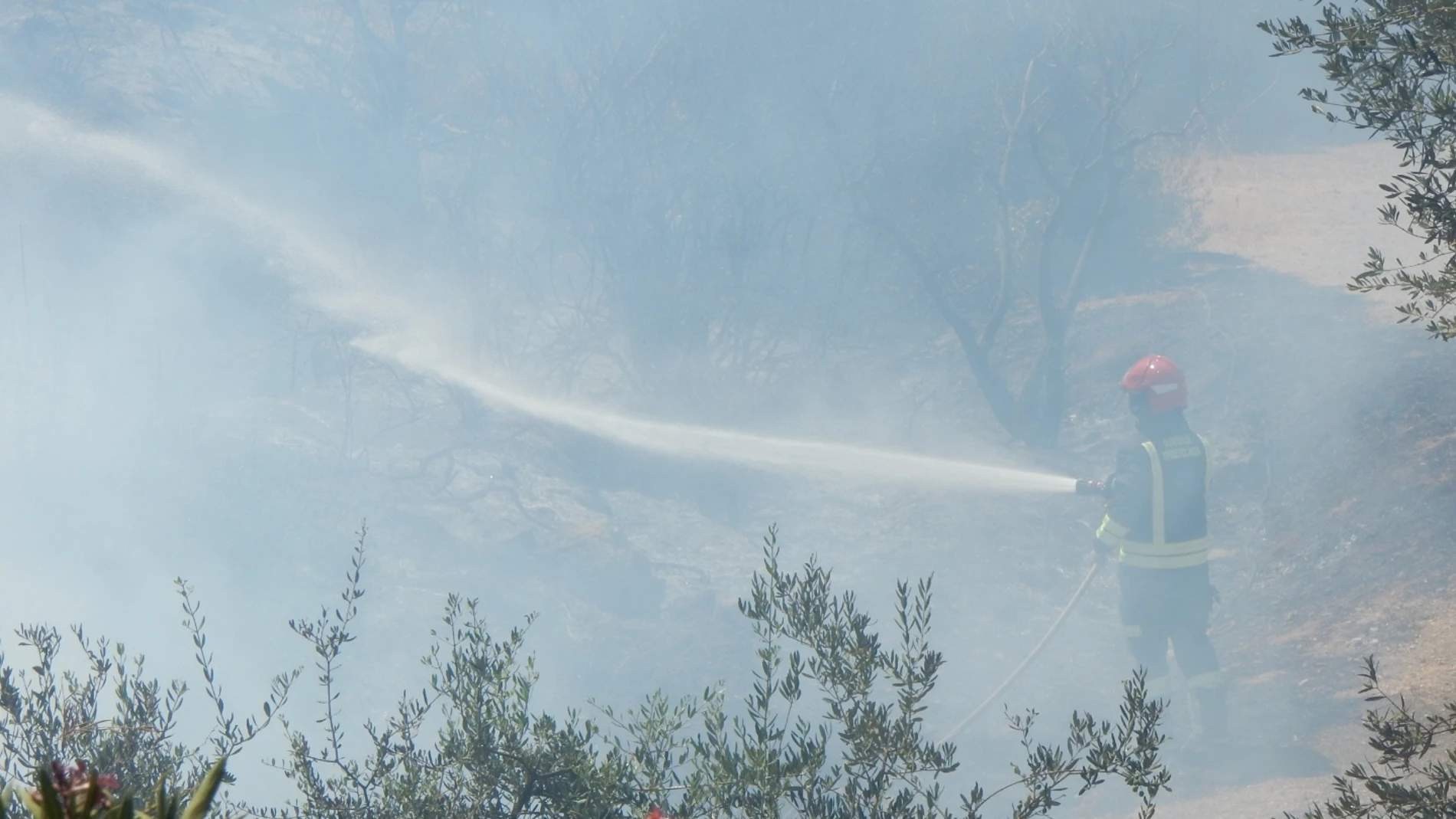 Un bombero intenta sofocar el fuego / Foto: Manuel Olmedo