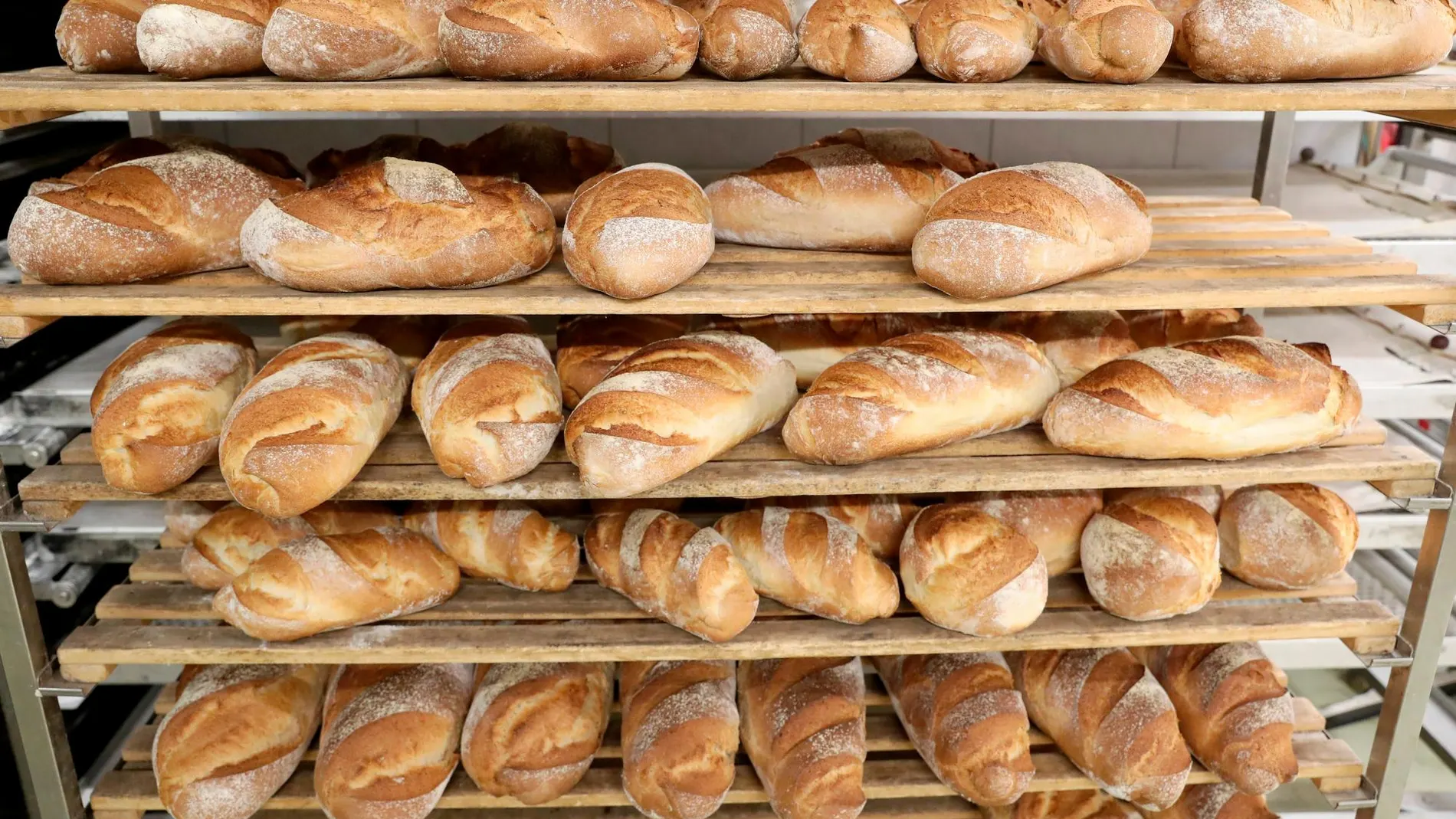 Cada pan presenta características únicas que podrás encontrar en este recetario digital