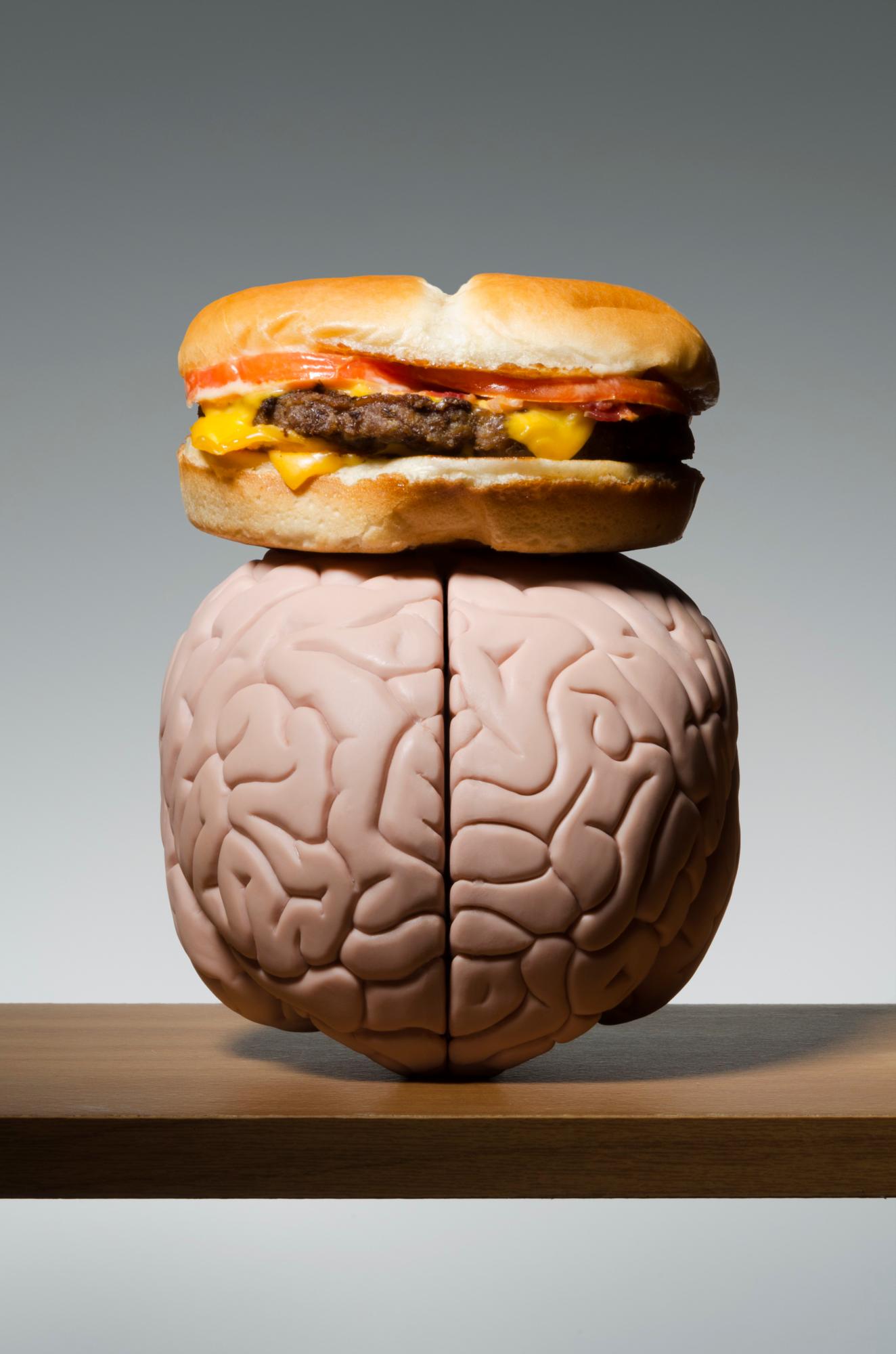 Los expertos comprobaron que la inflamación ocurre en el hipotálamo a los tres días después de consumir grasas | Dreamstime