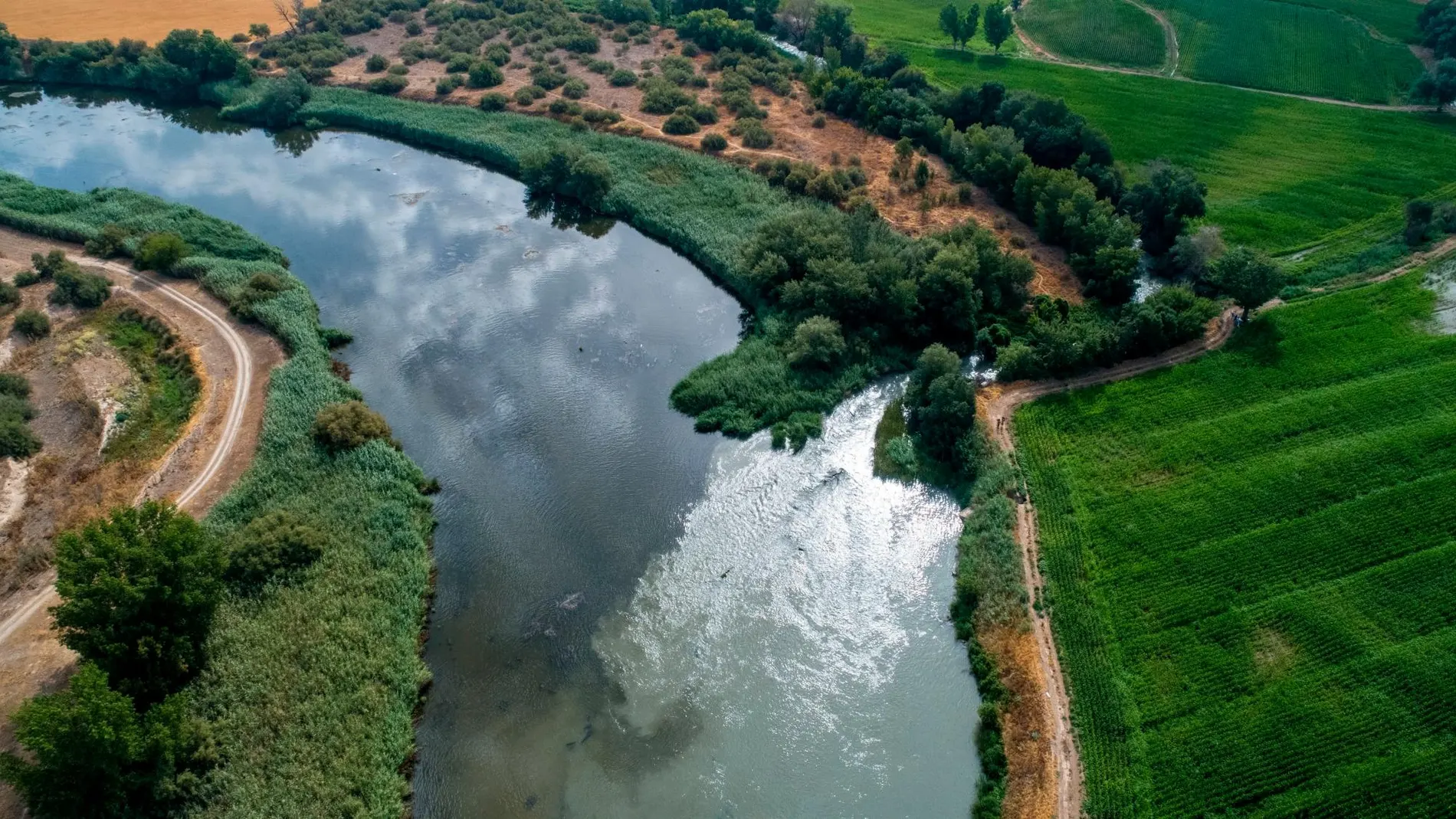 Imagen del río Jarama, que se encuentra en mal estado debido a la contaminación