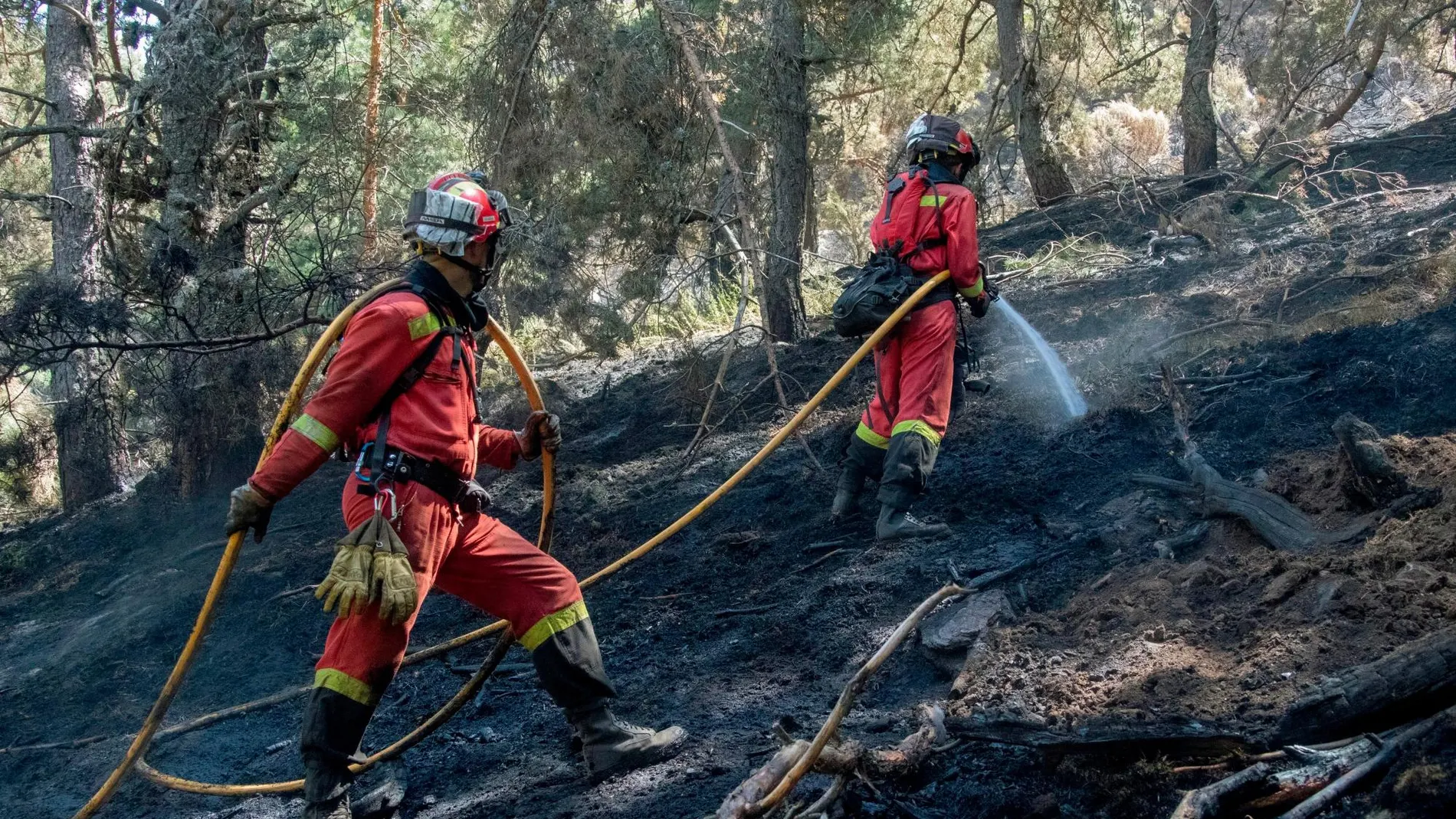 El operativo refresca los puntos calientes del fuego de El Real Sitio de San Ildefonso