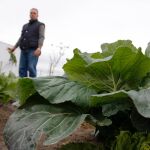 El paro bajó con respecto al mes anterior en Agricultura en 569 personas