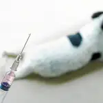  Vacunar a su perro puede salvar vidas, incluida la suya