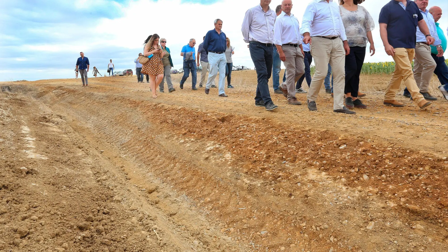 Carnero, Llorente, Armisén y Dujo, entre otros, vsitan los campos afectados por los roedores en Autillo de Campos