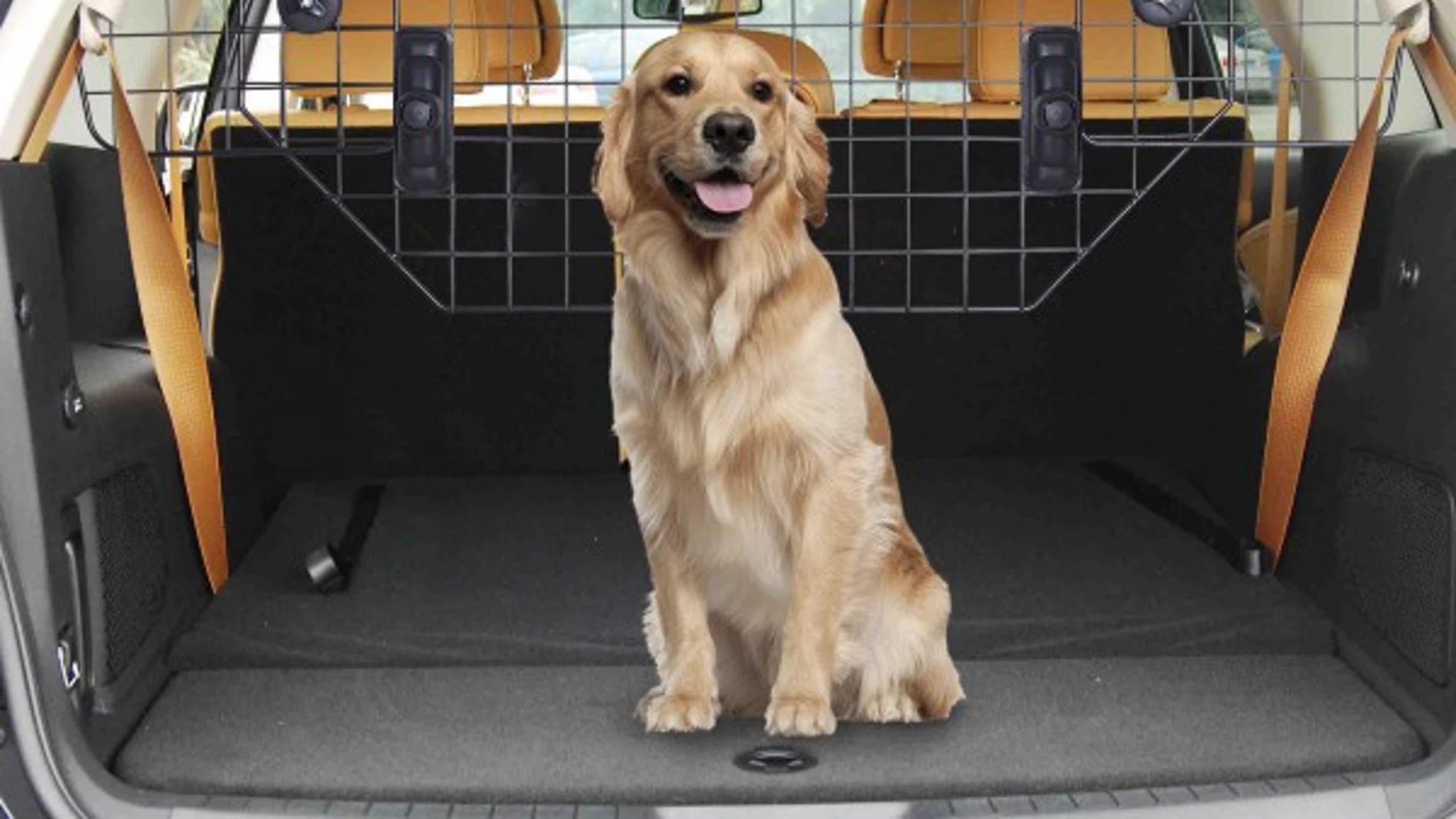 Uno de los productos incluidos en la selección de jaulas, casas, árboles o muebles en general para tus perros, gatos, pájaros y hámster