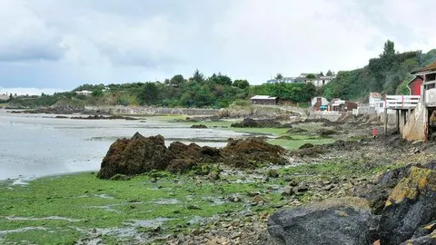 Bahía de Saint Brieuc/Bretaña