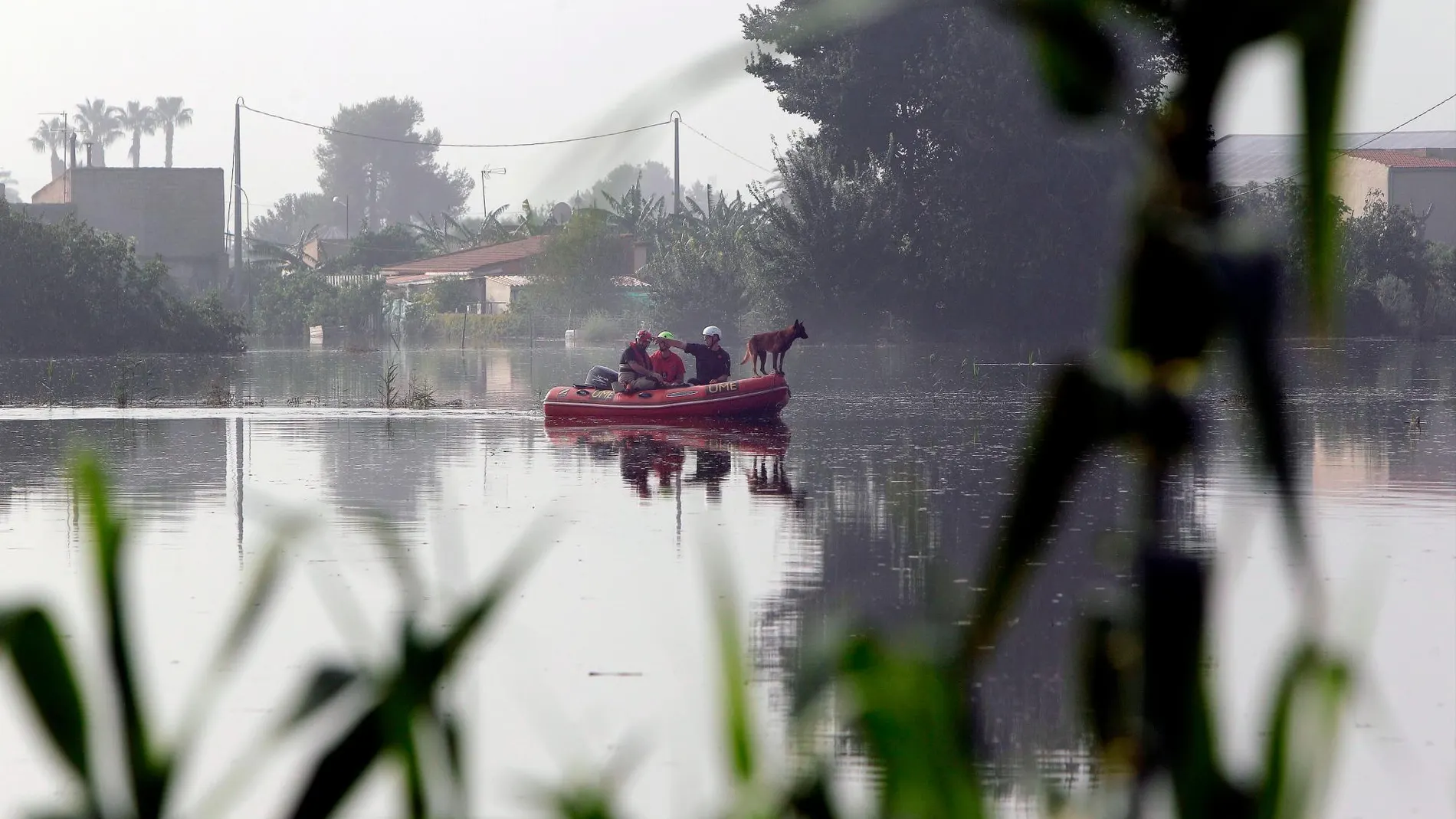 Los equipos de rescate durante la búsqueda del holandés desaparecido en Dolores/Foto: Efe