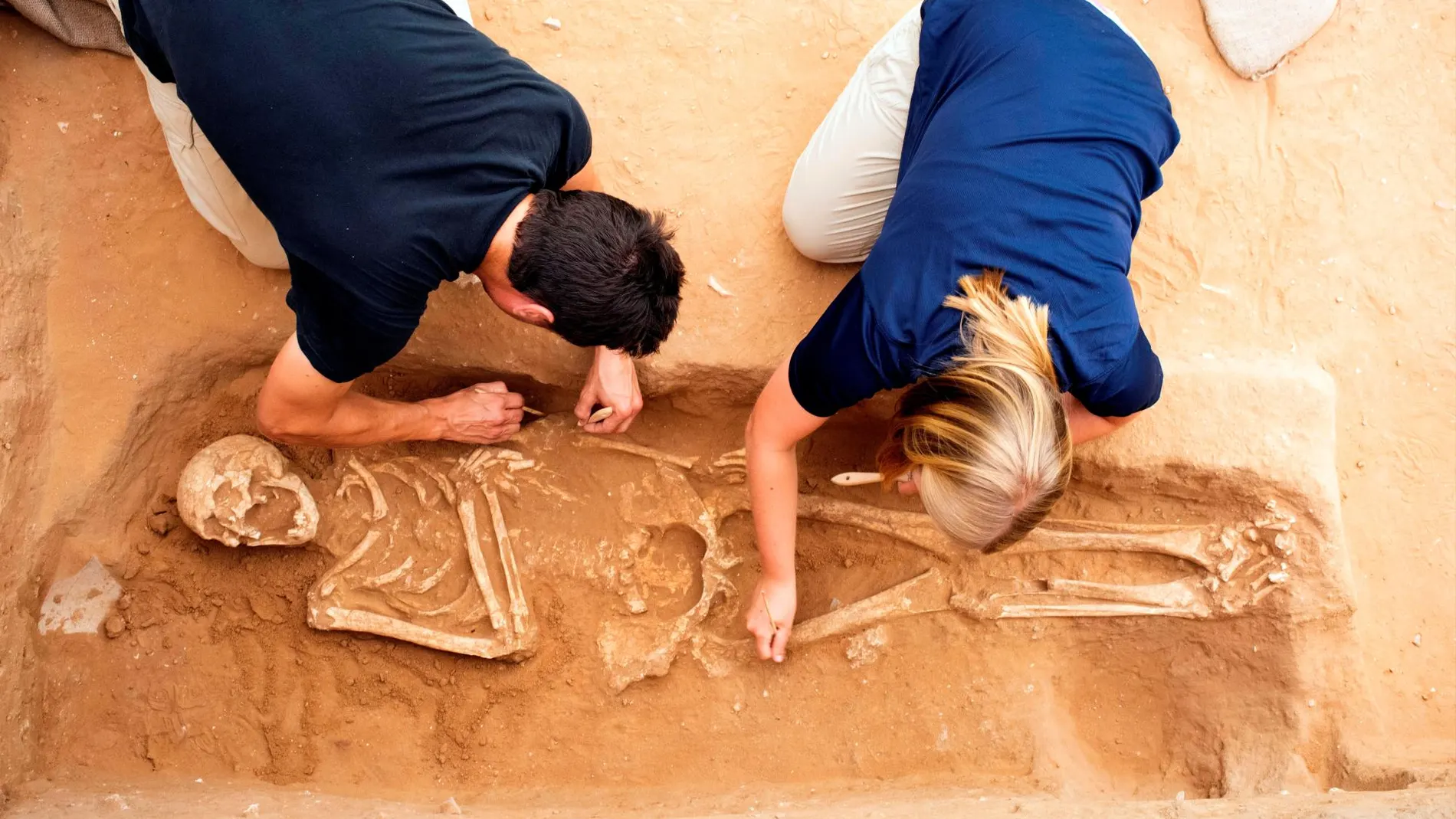 Expedición Ashkelon León Levy de la excavación del cementerio filisteo