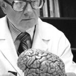 Robert J. White hizo proyectos neurológicos históricos