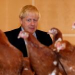 El primer ministro británico, Boris Johnson, durante una visita a una granja en St. Brides Wentlooge, Gales/ Reuters