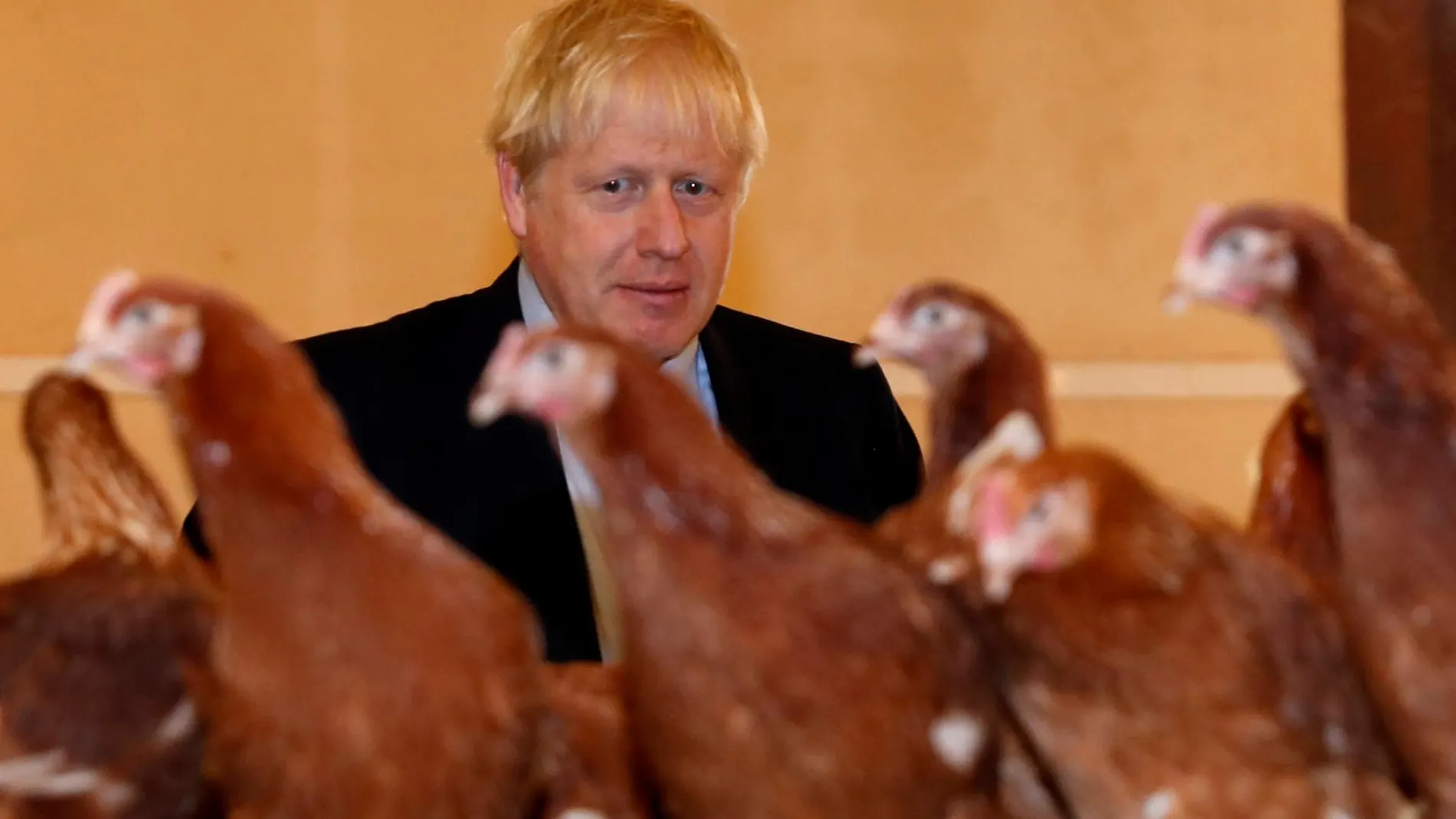 El primer ministro británico, Boris Johnson, durante una visita a una granja en St. Brides Wentlooge, Gales/ Reuters
