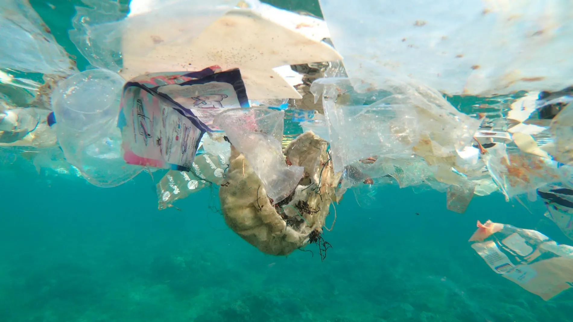 Varias bolsas y residuos plásticos en una playa