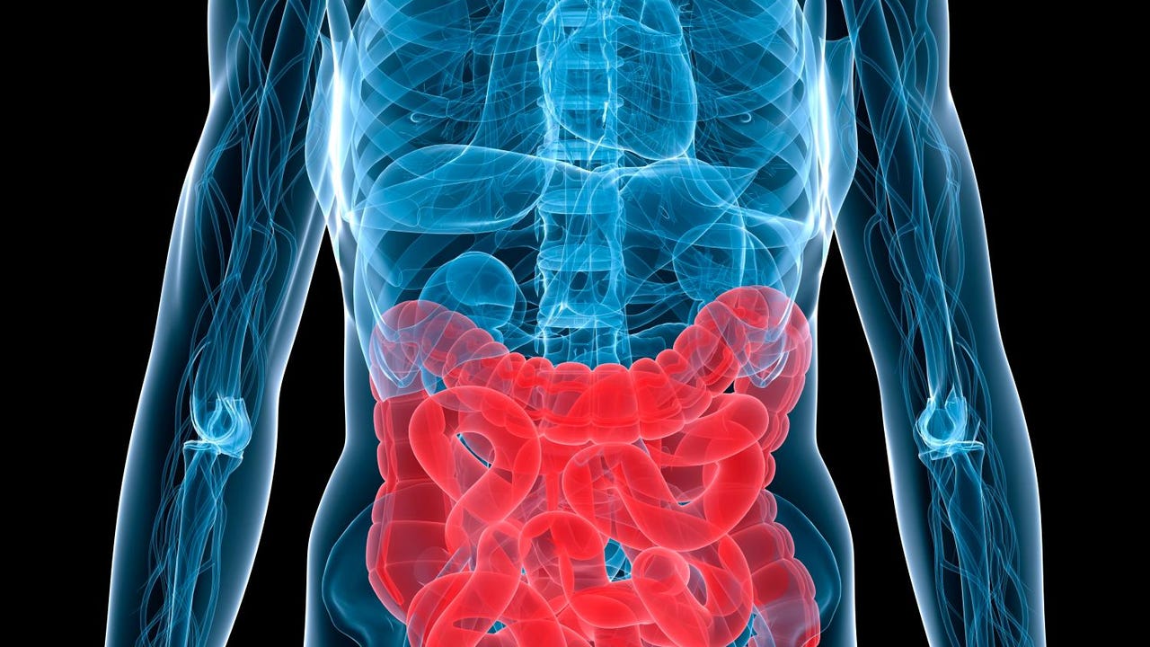 Alimenta tu Microbiota, Protege tu Salud: La Clave Está en la Dieta