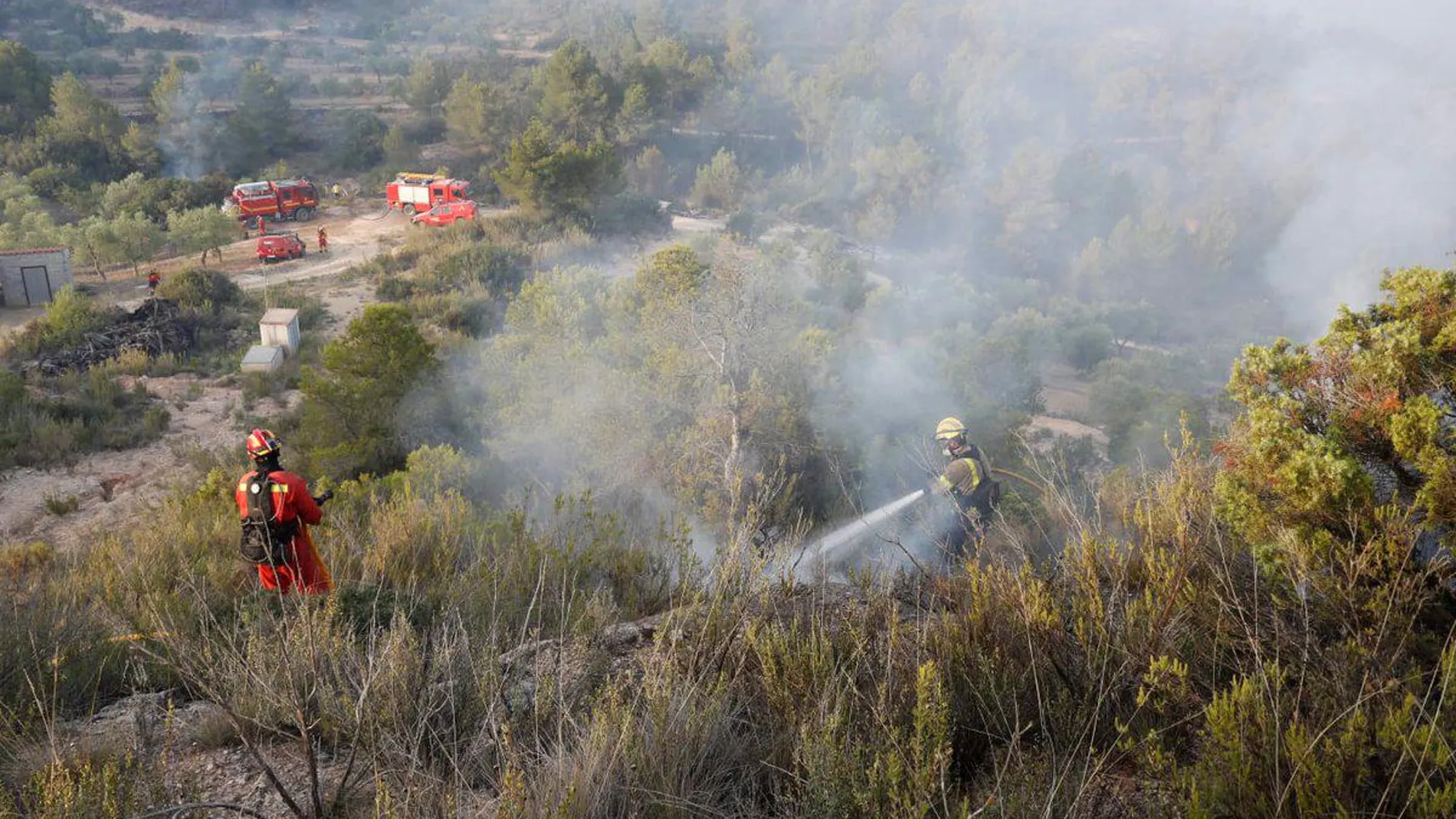 Los efectivos de la UME y los bomberos de la Generalitat de Cataluña trabajan hoy juntos en el incendio de Tarragona.