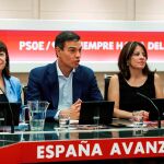 El presidente del Gobierno en funciones, Pedro Sánchez / Efe