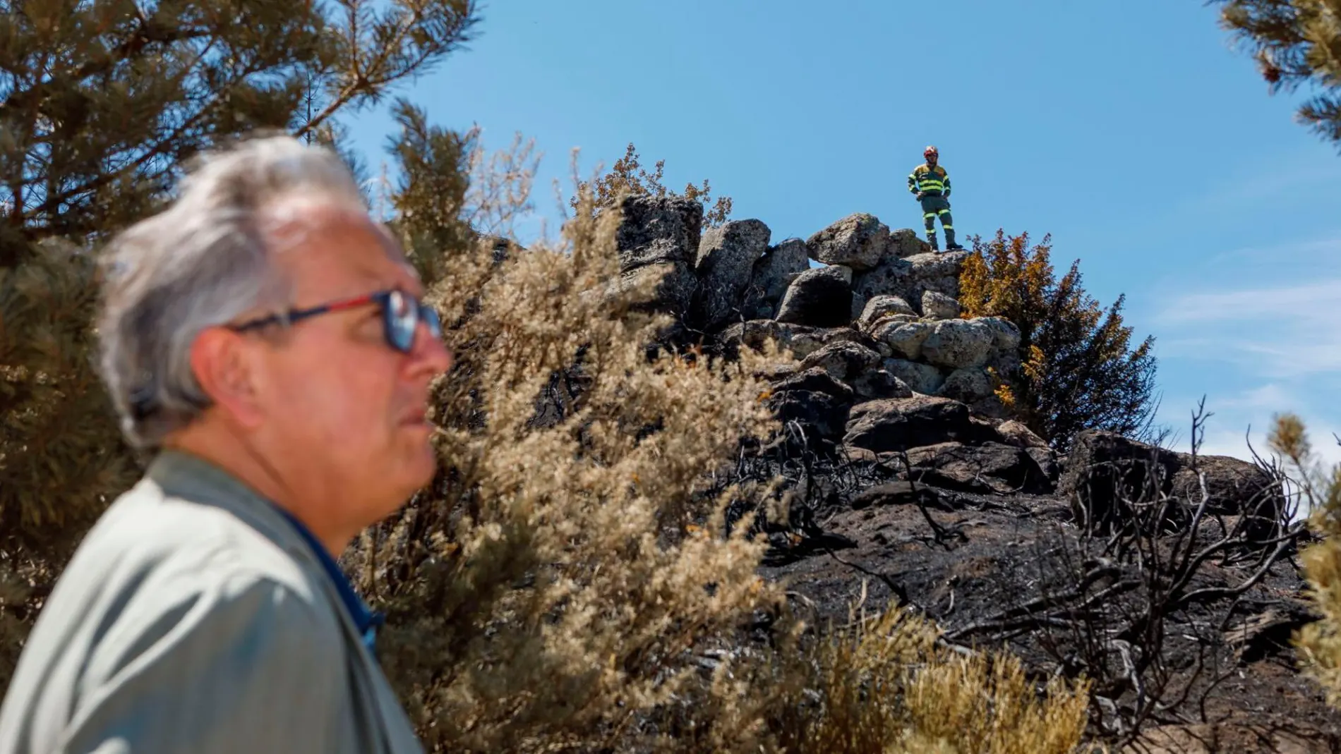 El delegado territorial de la Junta en Segovia, Javier López Escobar, visita la zona quemada en El Real Sitio de San Ildefonso