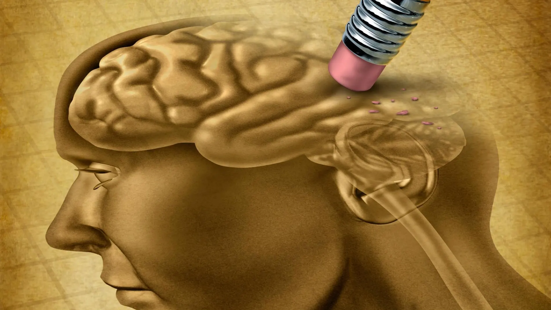 En la enfermedad de Alzheimer el desafío es proteger a las neuronas