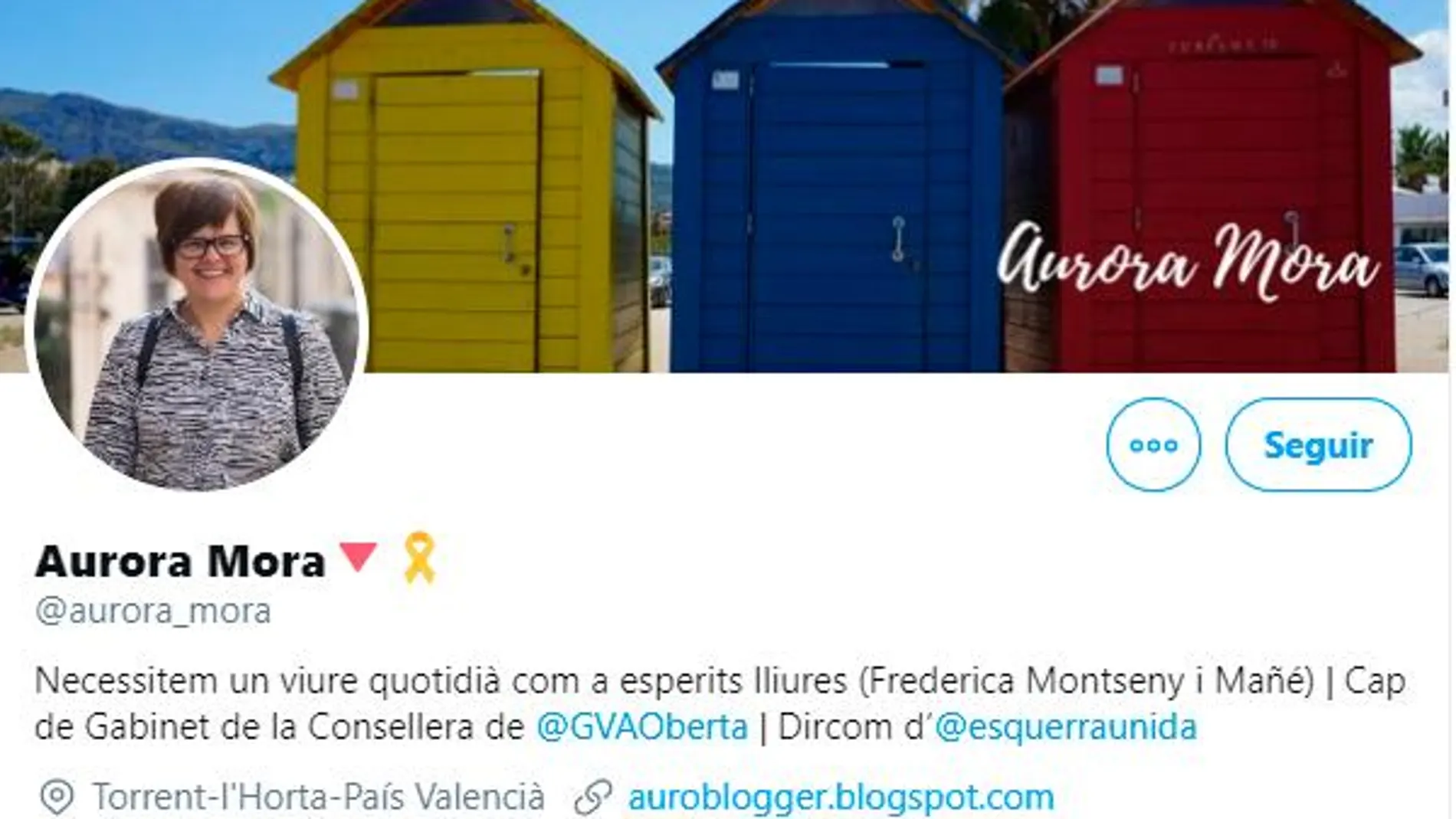 Los polémicos tuits de la responsable del Gobierno valenciano