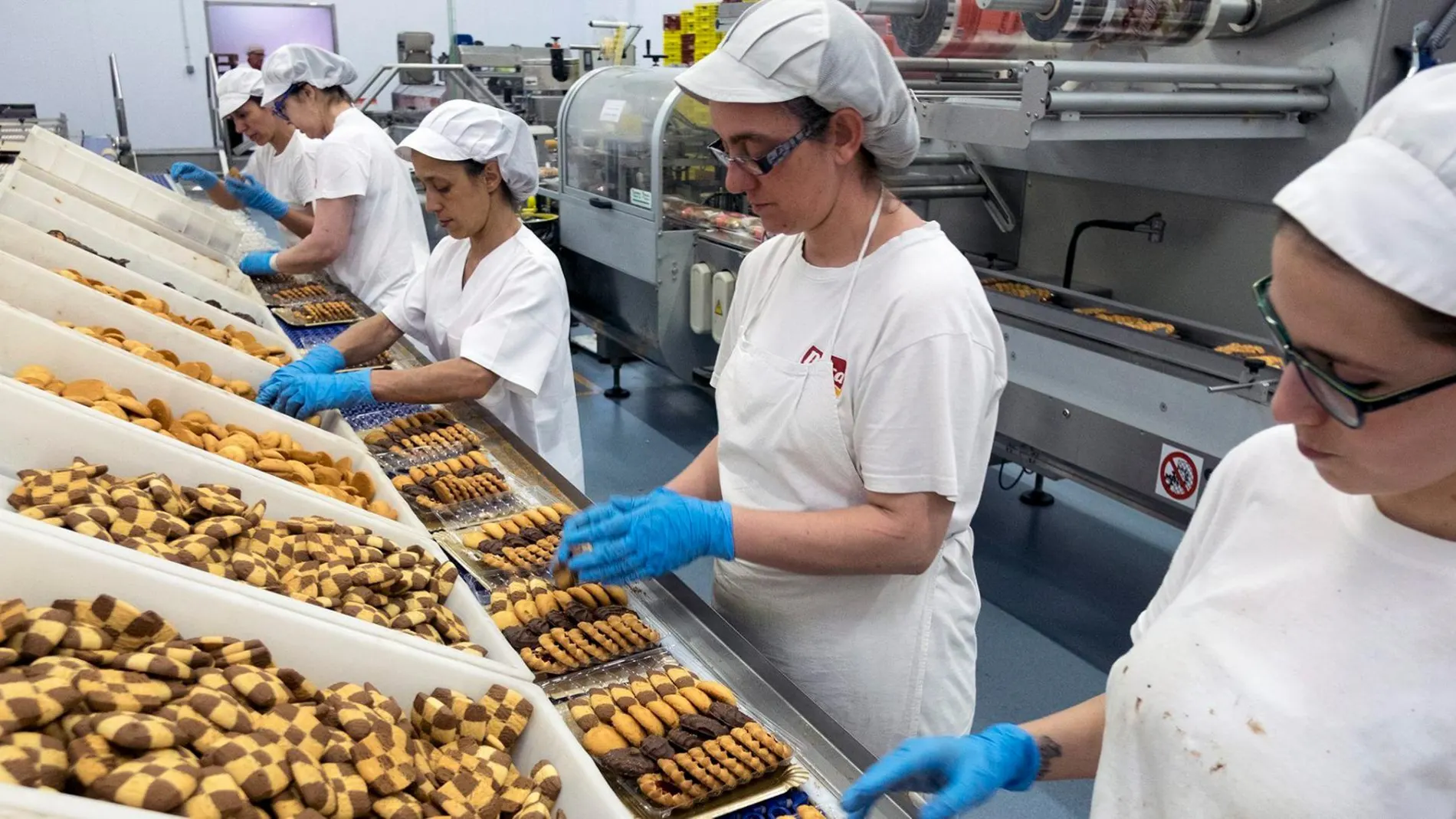 Un grupo de empleadas trabaja en una empresa galletera de Salamanca