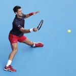 Djokovic, en la semifinal ante Goffin