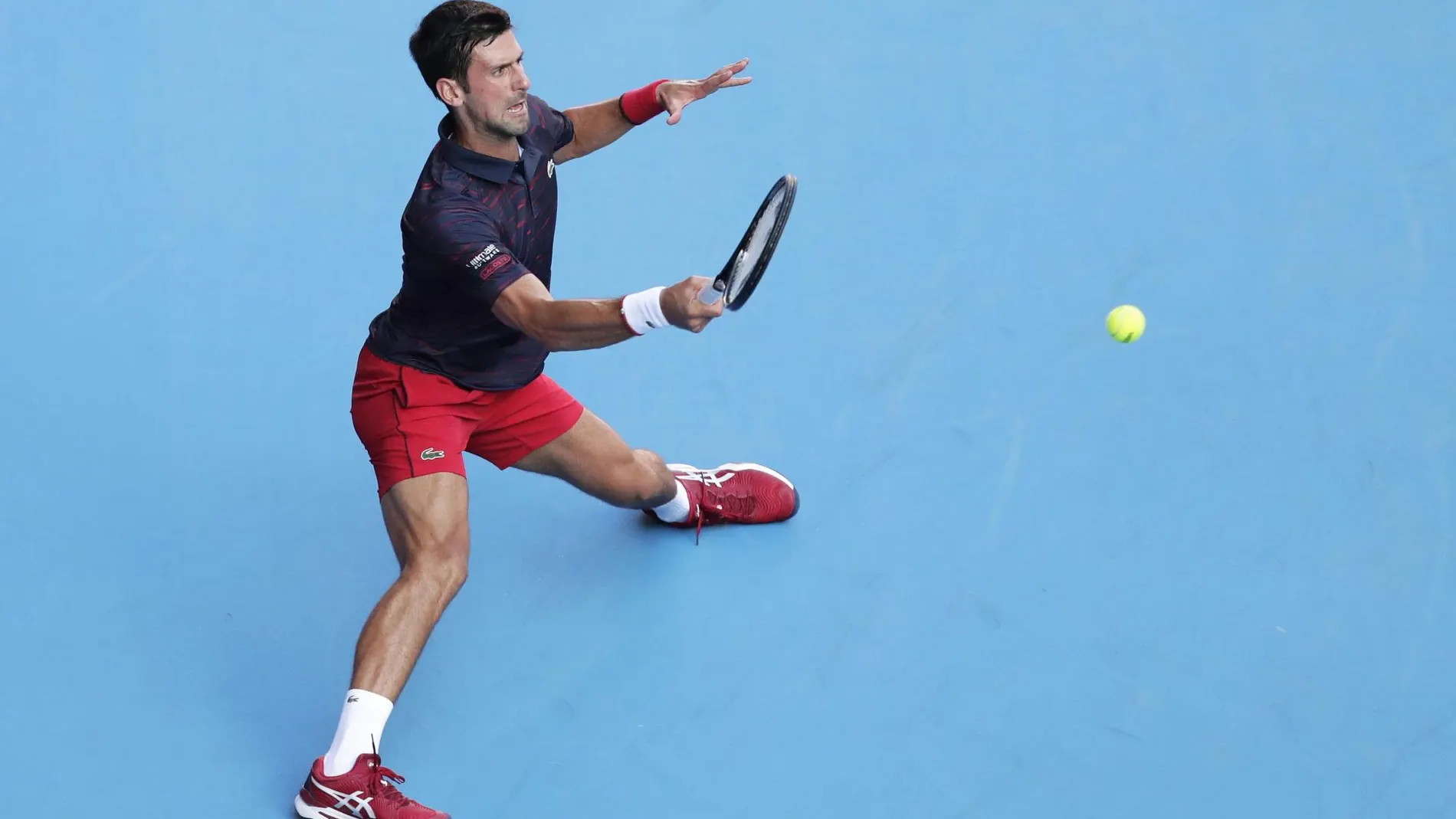 Djokovic, en la semifinal ante Goffin