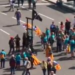 Fotograma del vídeo de la guillotina
