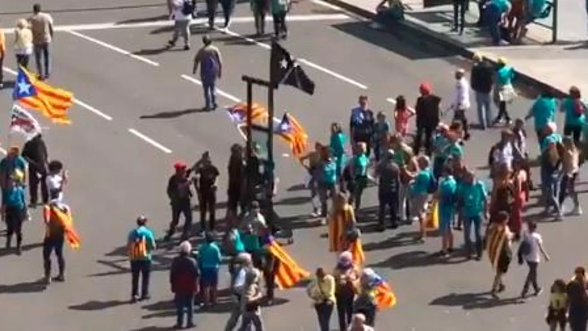 Fotograma del vídeo de la guillotina