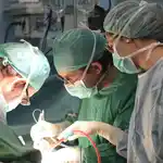  El 90 por ciento de los andaluces acepta la donación de órganos