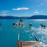Imagen tomada en Groenlandia por un científico danés en la que el hielo ha quedado totalmente derretido