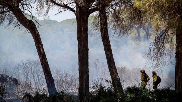 Incendio forestal declarado en el paraje de Roche, en Conil de la Frontera (Cádiz) / Foto: Efe