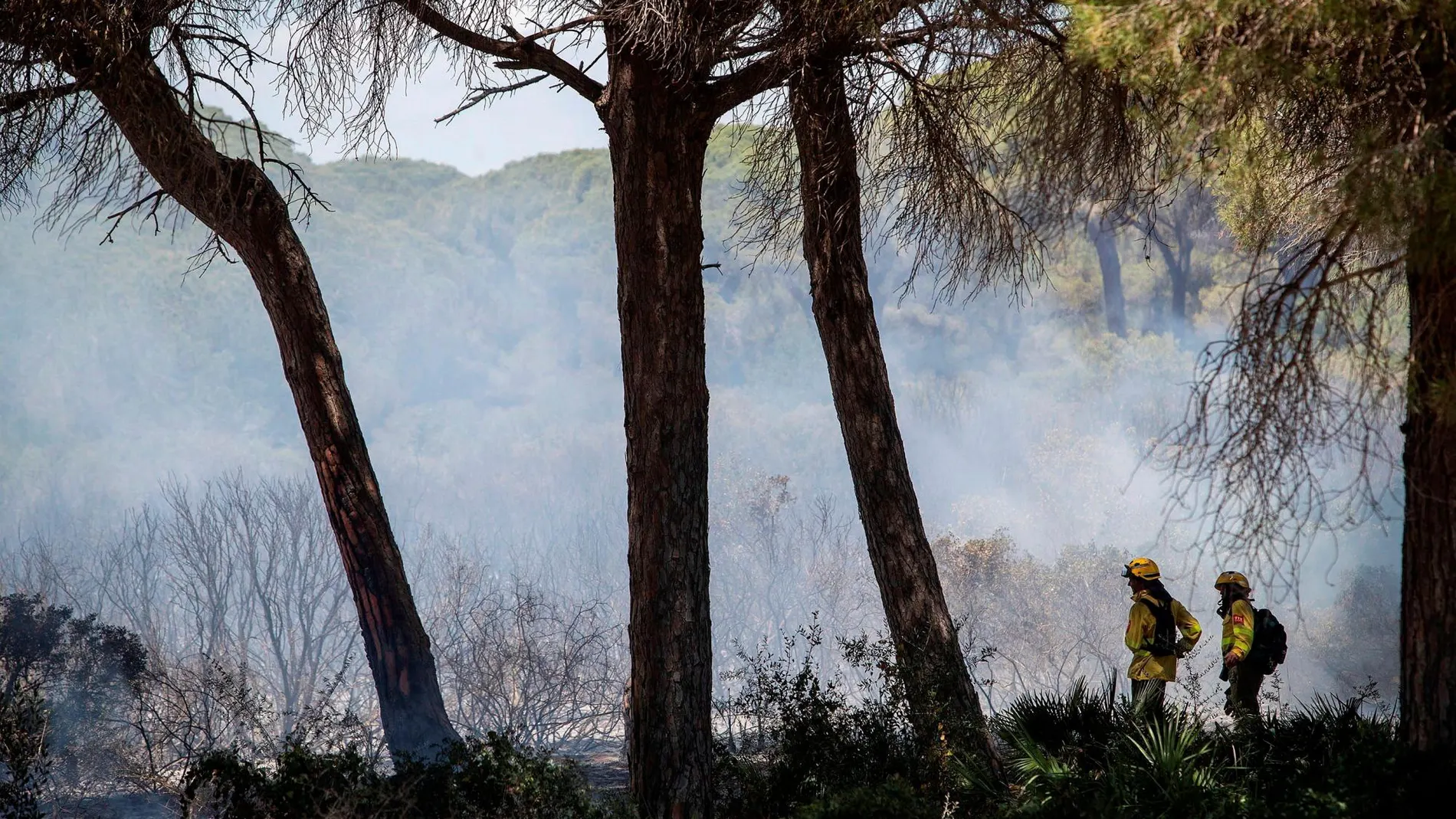 Incendio forestal declarado en el paraje de Roche, en Conil de la Frontera (Cádiz) / Foto: Efe