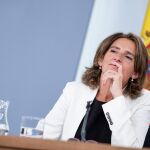 La titular en funciones del Ministerio para la Transición Ecológica, Teresa Ribera, en rueda de prensa | David Jar